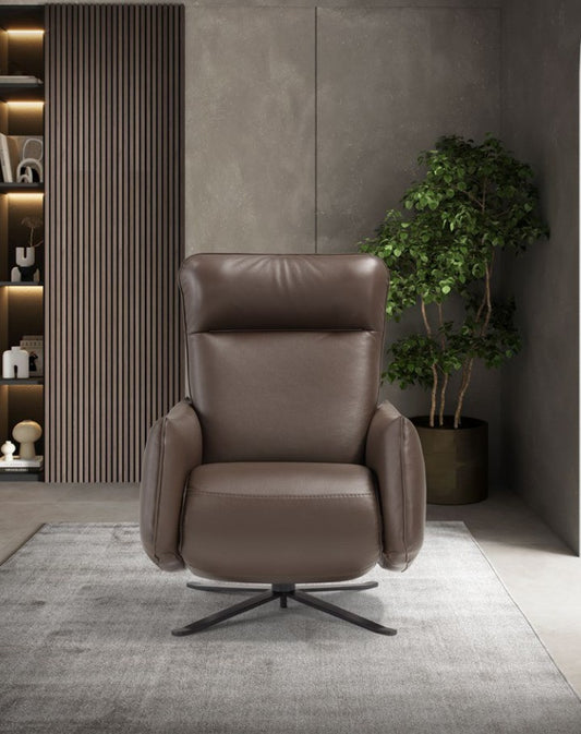 Giannetta recliner armchair in brown leather, front view on a grey rug beside a lit bookcase and plant