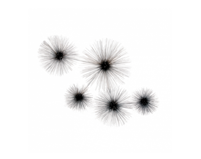 Artisan House Urchin-Chrome metal wall sculpture