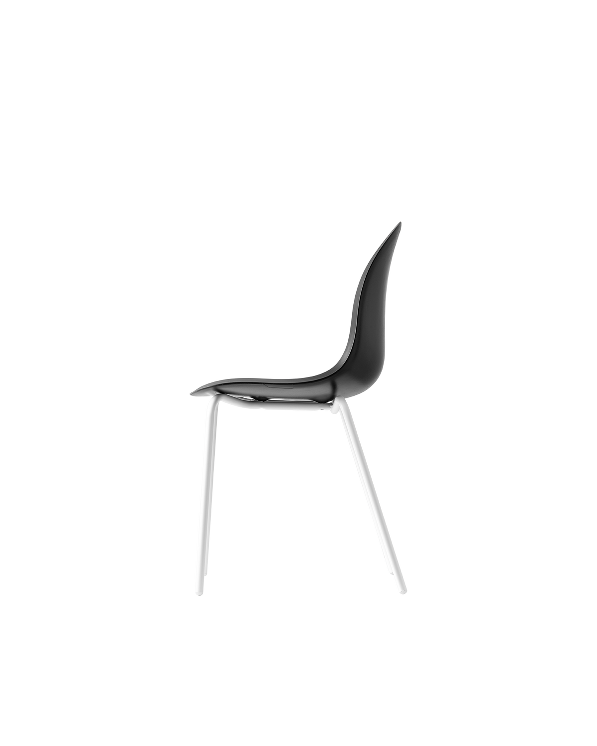 Connubia Academy Chair CB1671-E - official studio photo