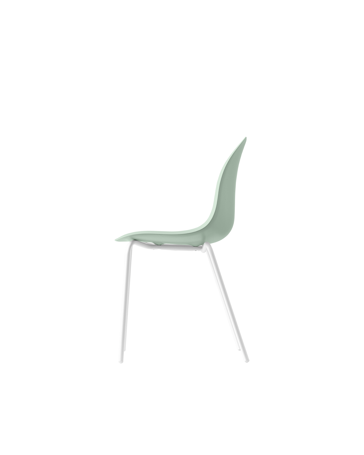 Connubia Academy Chair CB1671-E - official studio photo