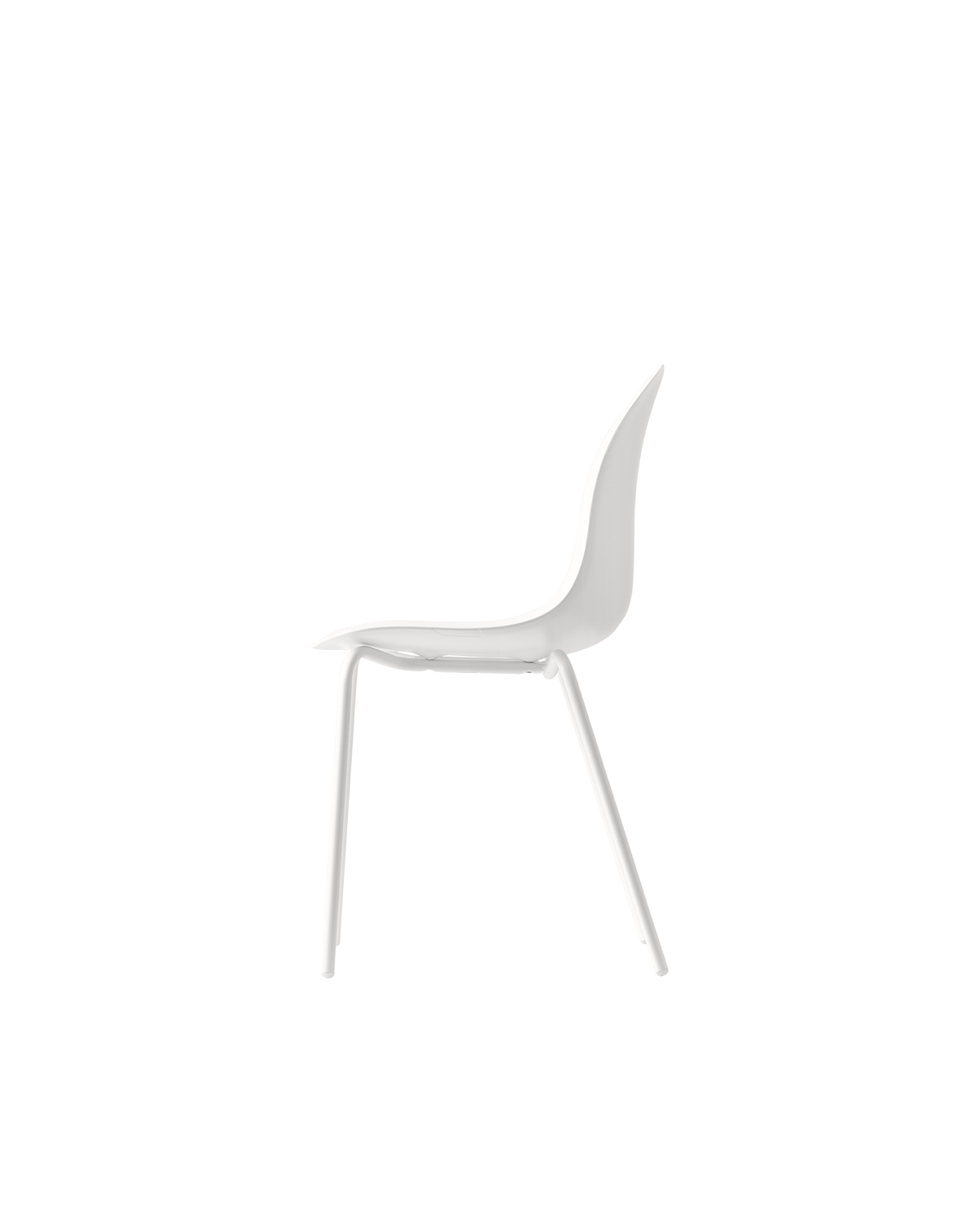 Connubia Academy Chair CB1671-E - official studio photo