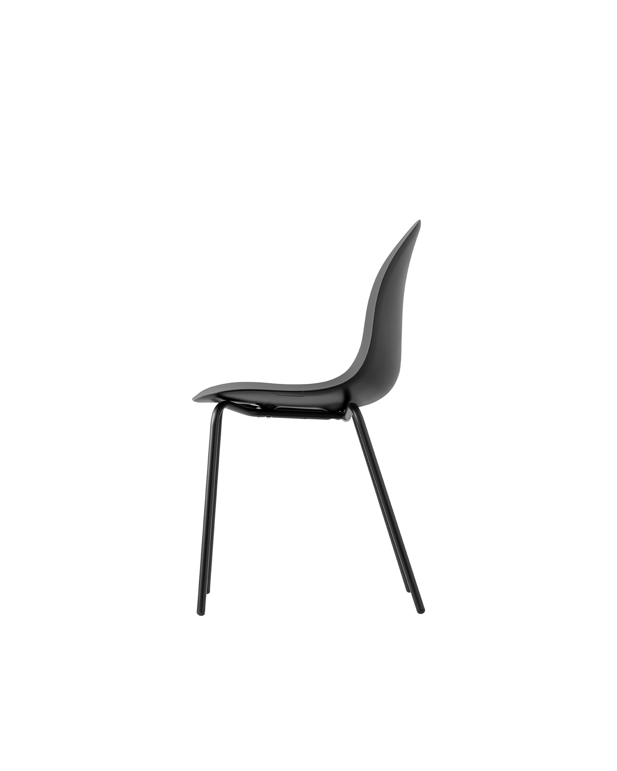 Connubia Academy Chair CB1671-E - official studio photo