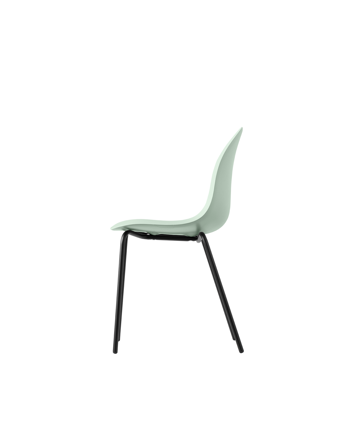 Connubia Academy Chair CB1671-E - official studio photo