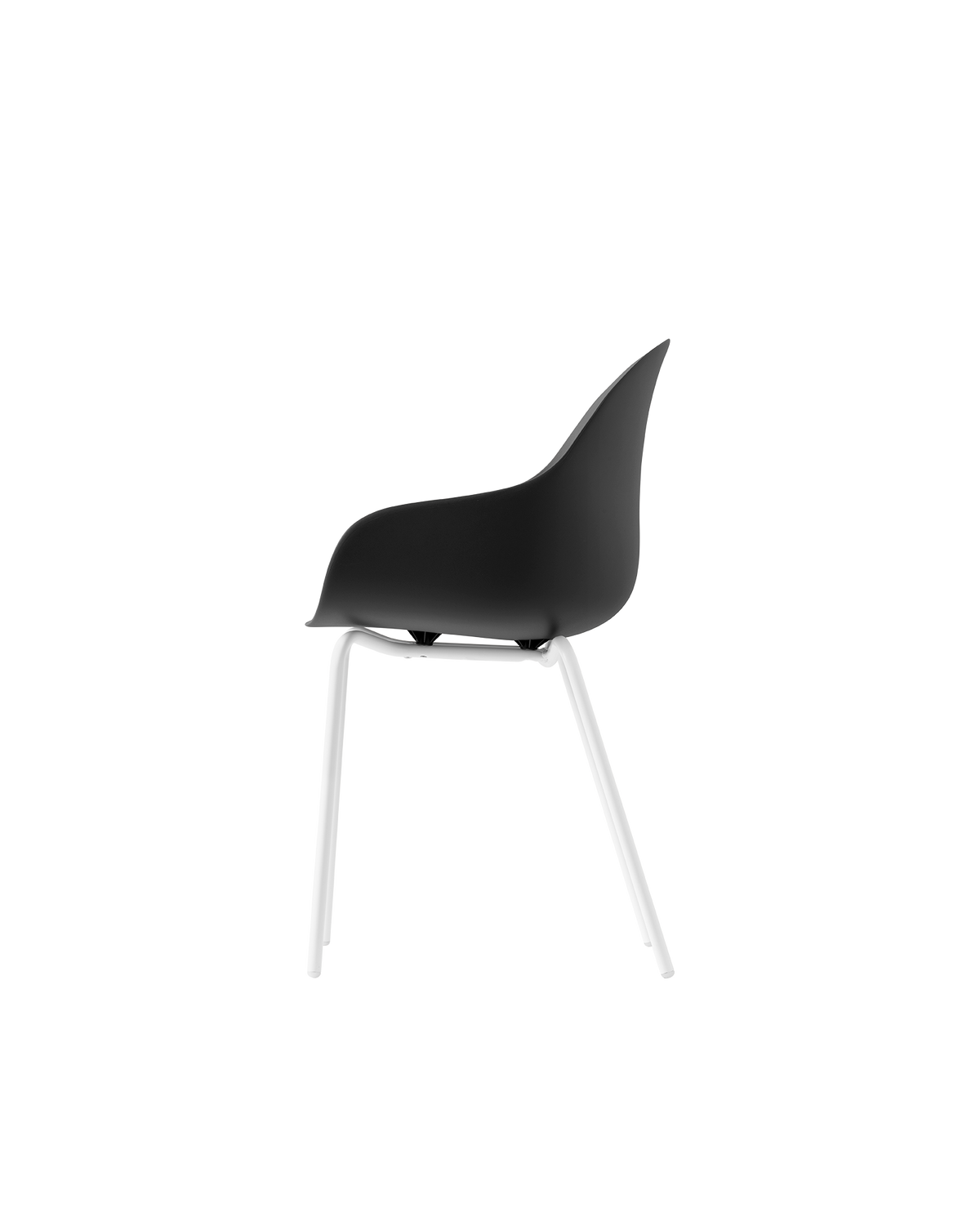 Connubia Academy Chair CB2137 - official studio photo