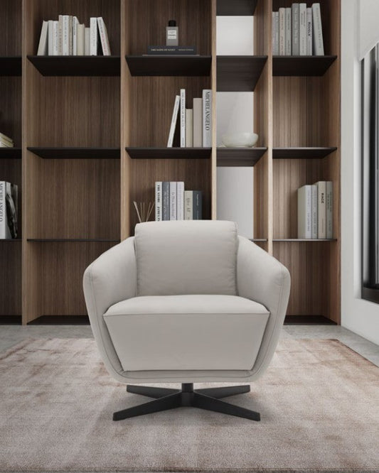 Benati armchair in light grey leather, front view on a soft rug in front of a wooden bookcase