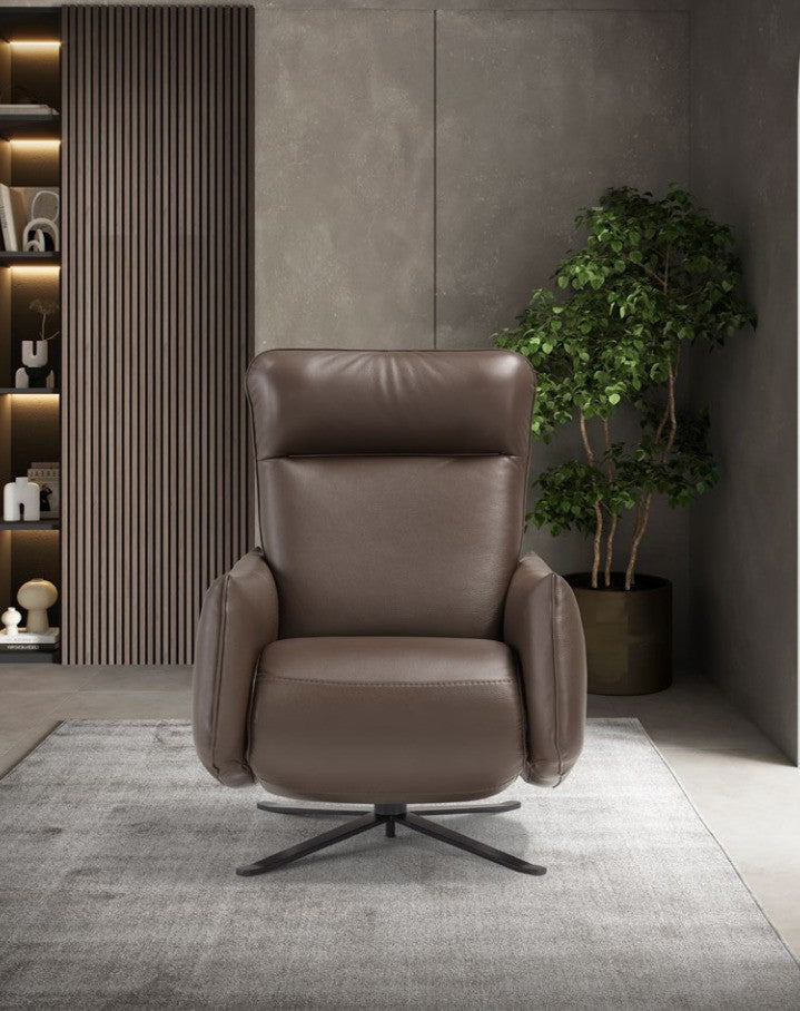 Giannetta recliner armchair in brown leather, front view on a grey rug beside a lit bookcase and plant