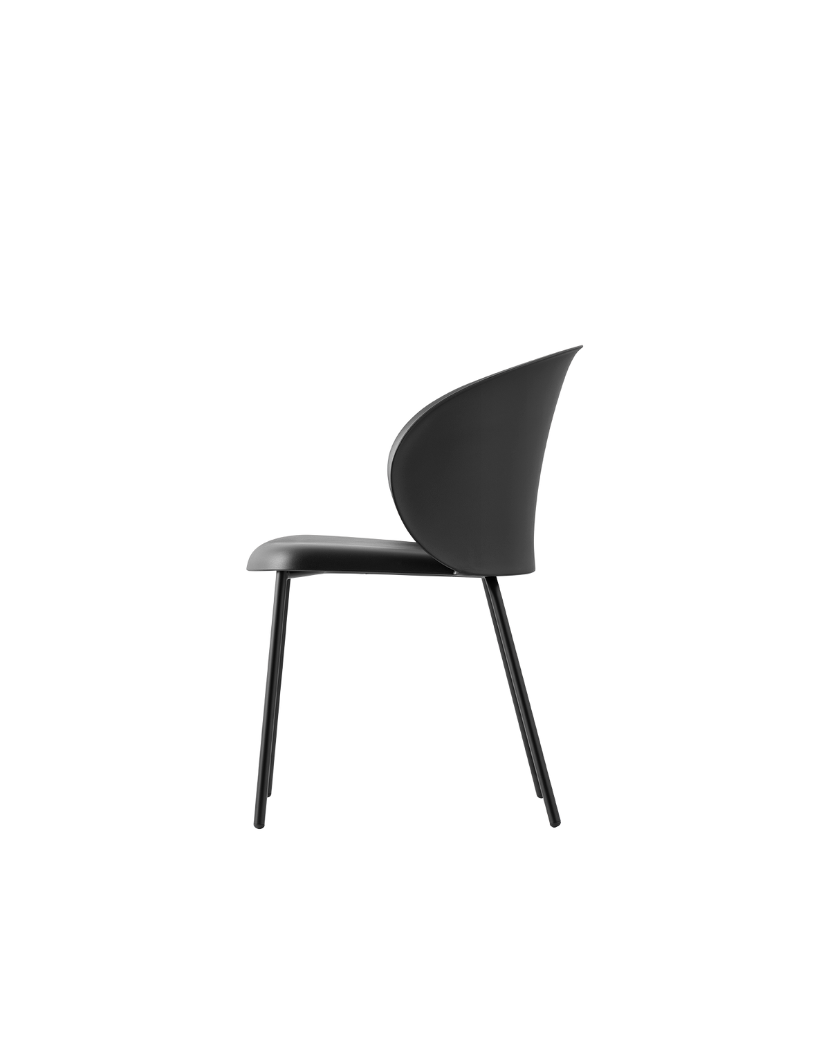 Connubia Tuka Chair CB1999 - official studio photo
