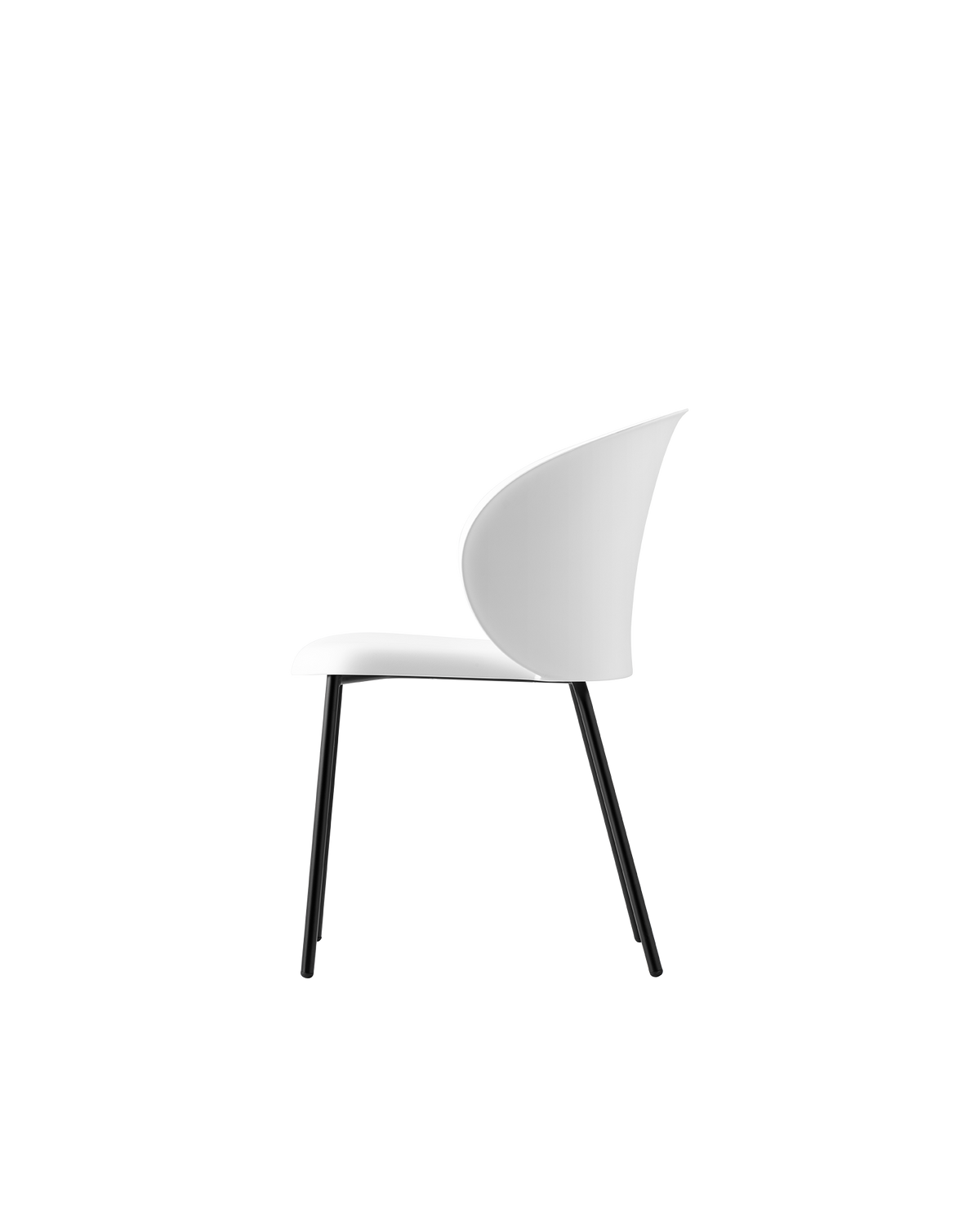 Connubia Tuka Chair CB1999 - official studio photo