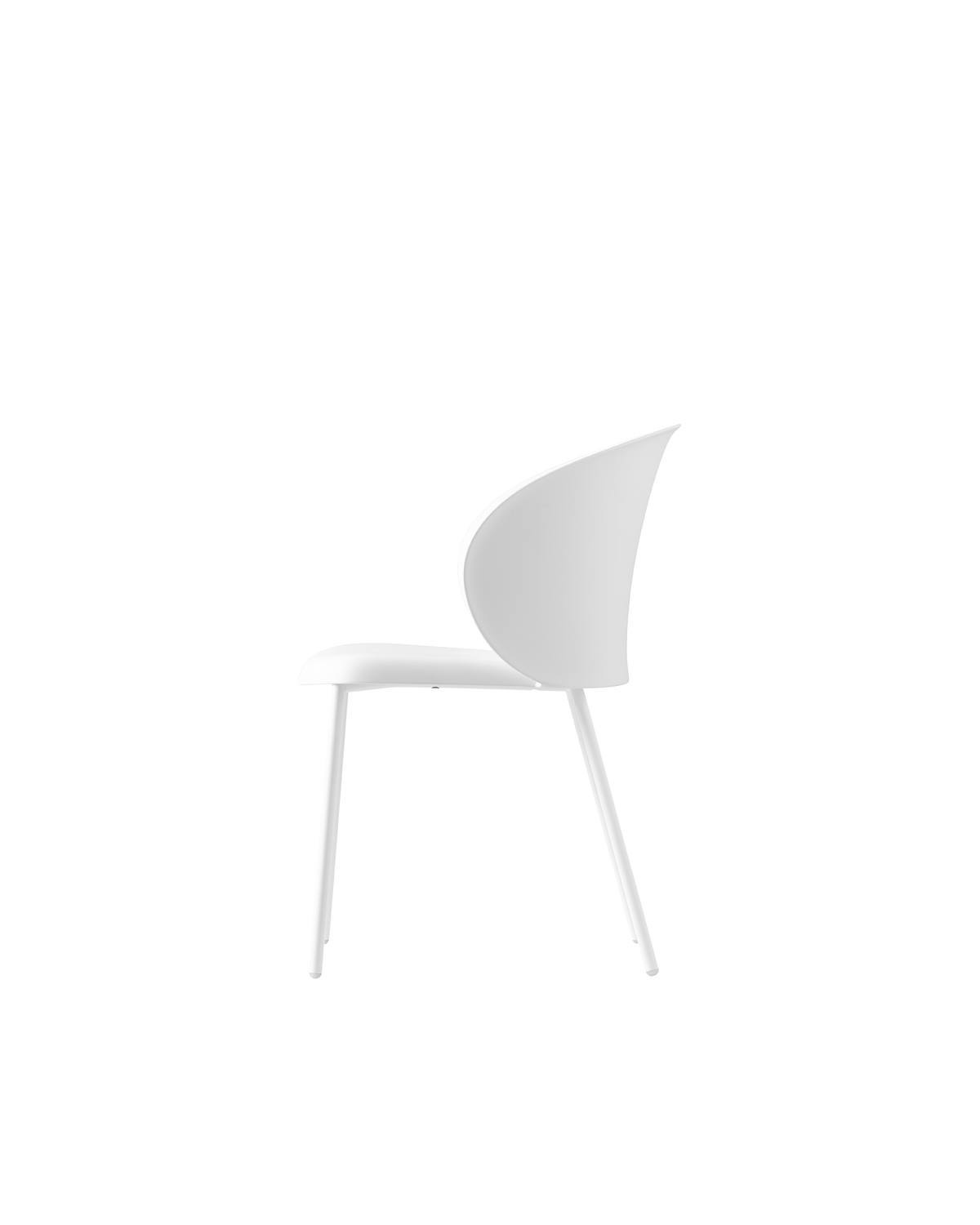 Connubia Tuka Chair CB1999 - official studio photo